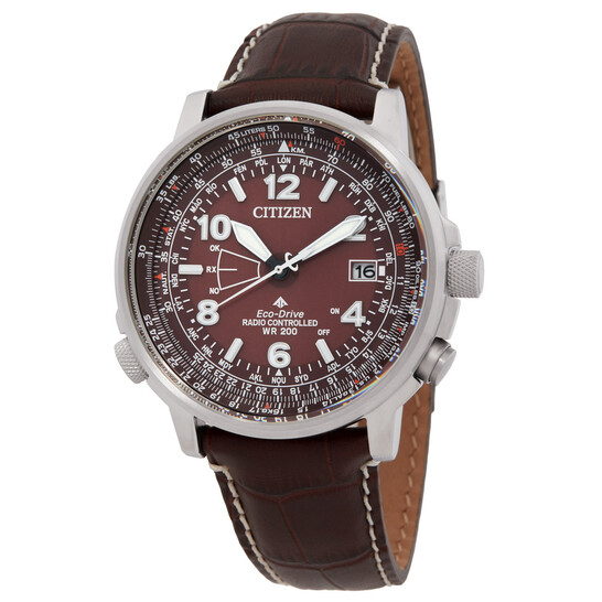 Relógio Citizen Promaster Sky Perpétuo Hora Mundial Marrom Masculino CB0248-01X