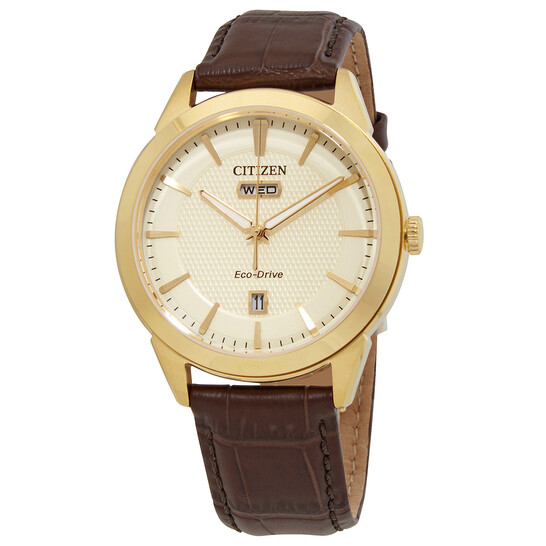 Relógio Citizen Eco-Drive Champagne Masculino AW0092-07Q