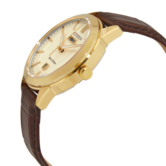 Relógio Citizen Eco-Drive Champagne Masculino AW0092-07Q