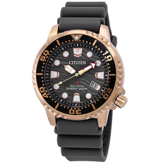 Relógio Citizen Promaster Dive Eco-Drive Cinza Masculino BN0163-00H